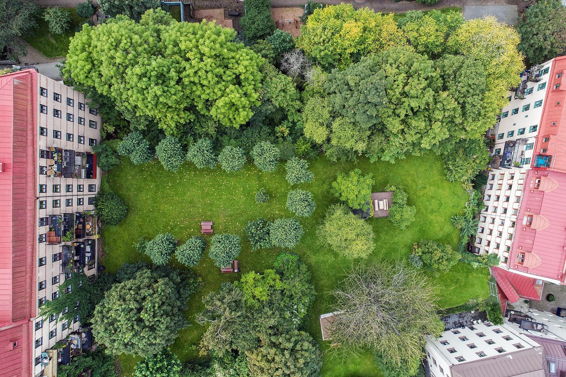 Innergård och kringliggande kvarter vid BRF Svarte Oliven